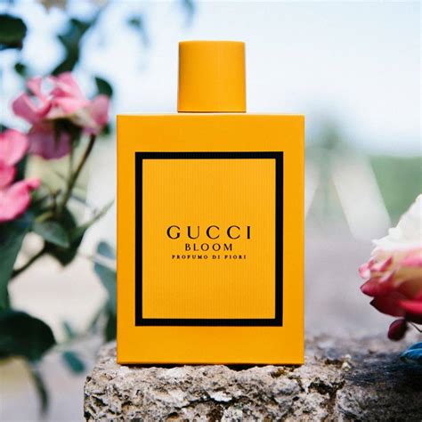 gucci bloom perfume profumo di fiori|gucci bloom 3.3 ounce.